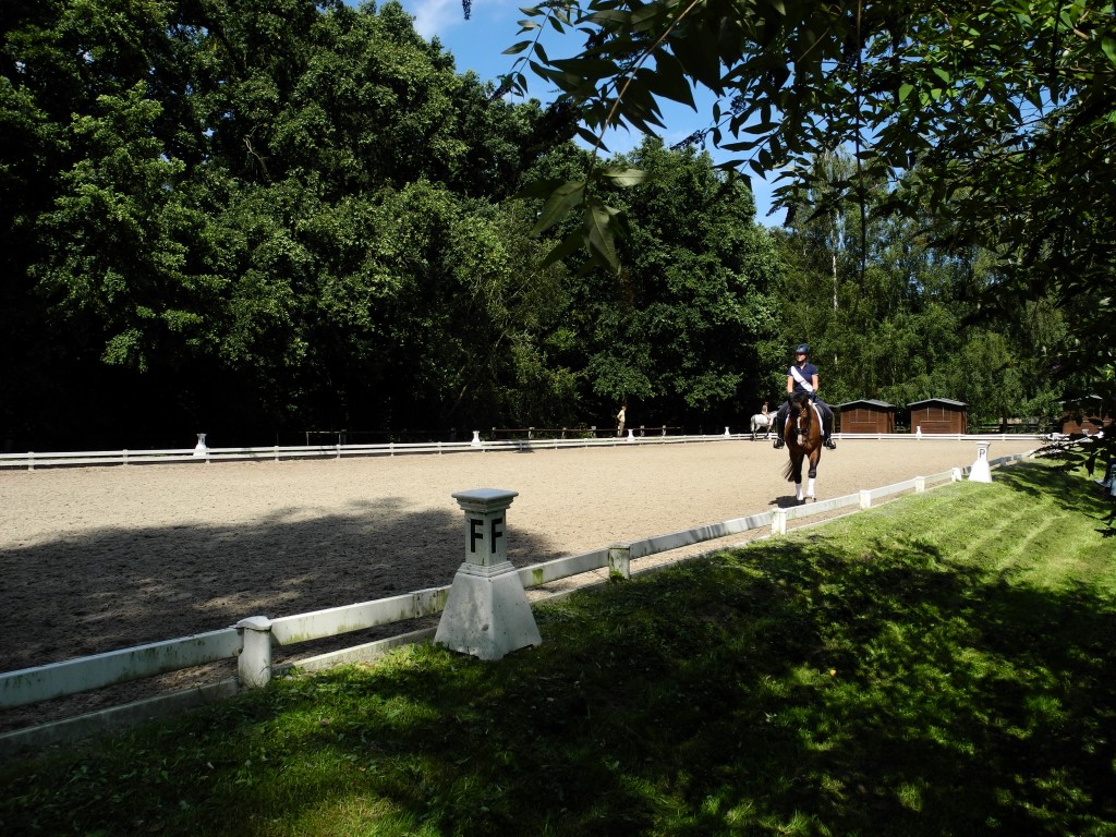 Dressurviereck