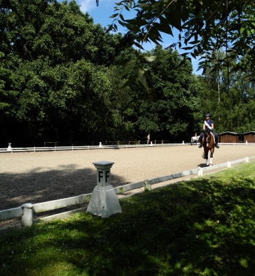 Dressurviereck